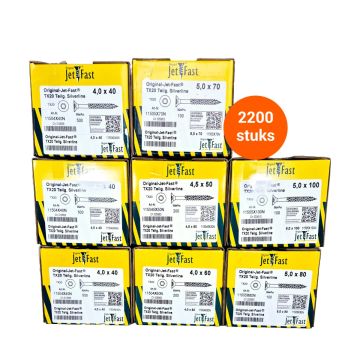Nogel zelfborende en verzinkende schroeven torx - Voordeelpakket 2200 stuks